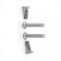 China Nice Quality High strength stainless steel flat head screw machine screw